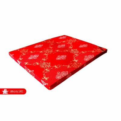 NỆM BÔNG ÉP ƯU VIỆT DYLAN KÍCH THƯỚC 220*200*9CM