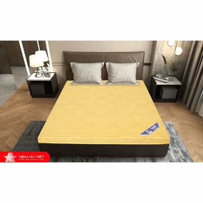 NỆM BÔNG ÉP ƯU VIỆT LEAD KÍCH THƯỚC 220*200*9CM