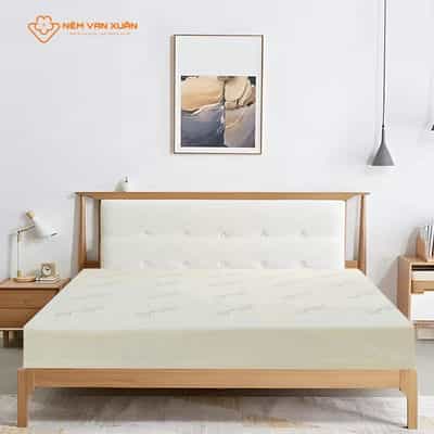 NỆM CAO SU NON VẠN XUÂN COSY DREAM 120X200X10