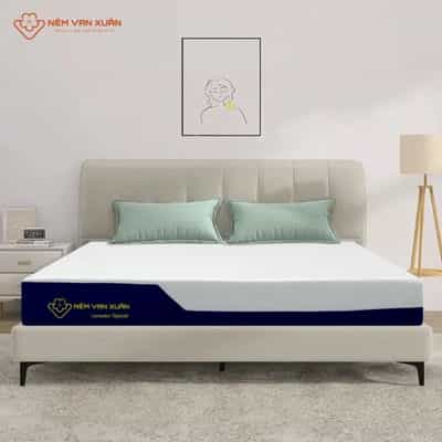 NỆM FOAM ĐA TẦNG VẠN XUÂN LAVENDER ORGANIC 220X200X15