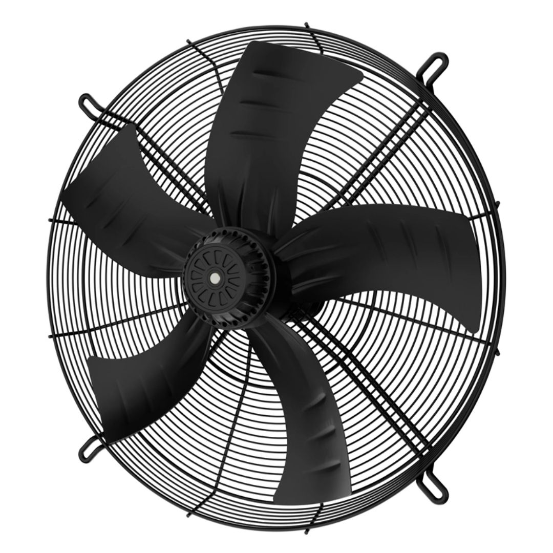 ✓