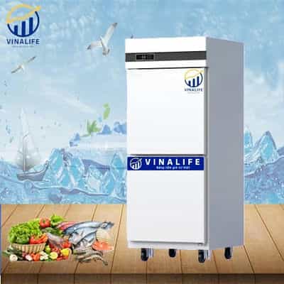Tủ đông inox VINALIFE VNL-TBO 500 quạt gió 2 cánh 500L