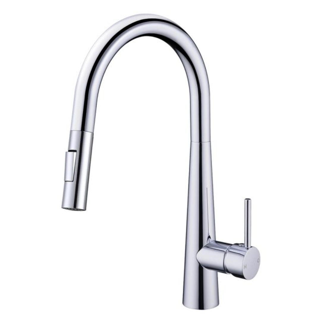 VÒI RỬA CHÉN ROSLERER RL-168